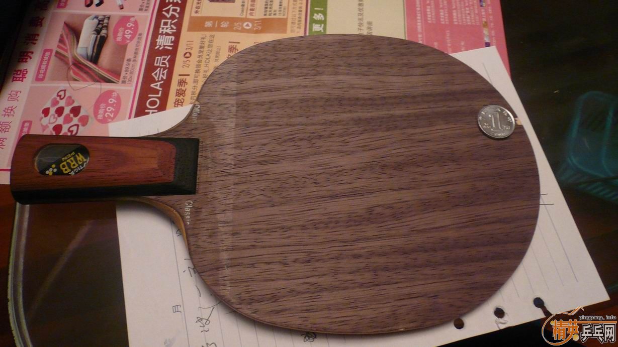 ���Ʊ� ���� OC