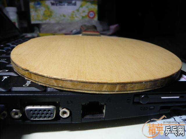 ����̼����³��