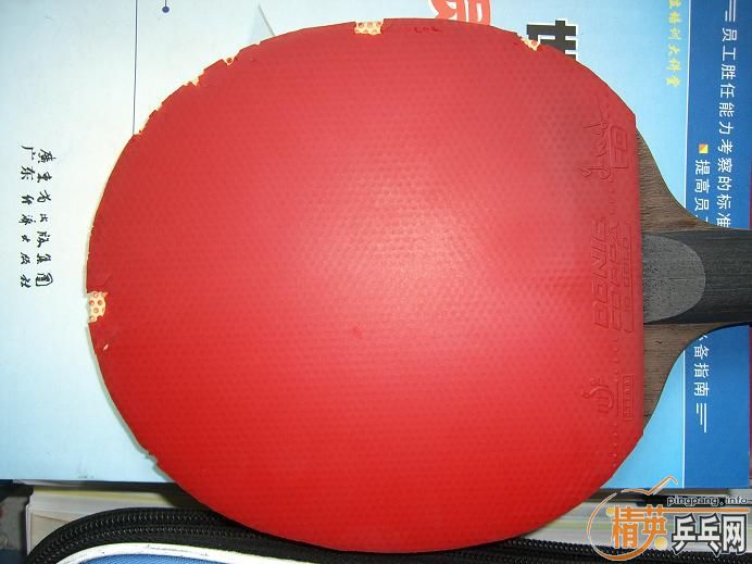 ���Ų������׽������˳�