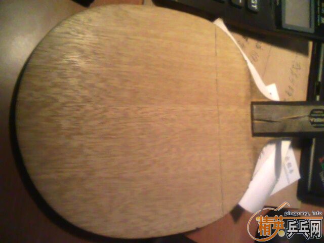 �л���̼����YEO