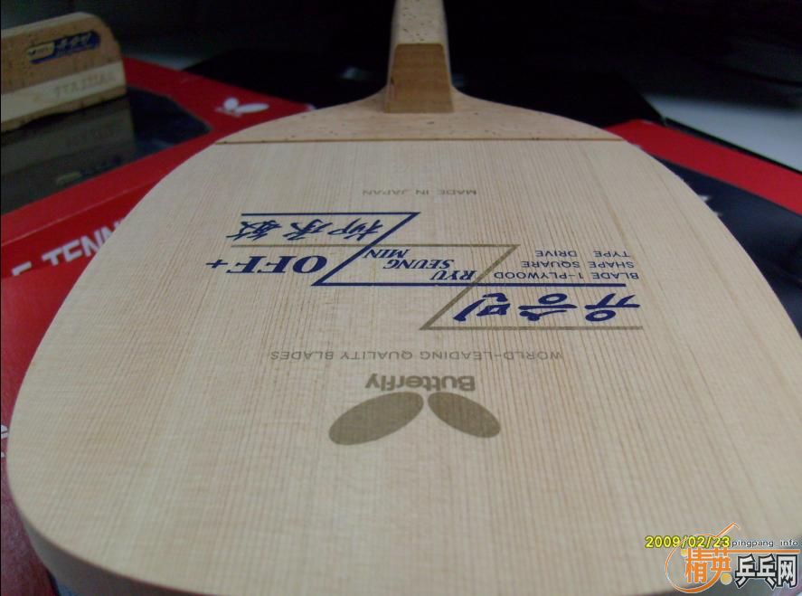 [����]����˫��