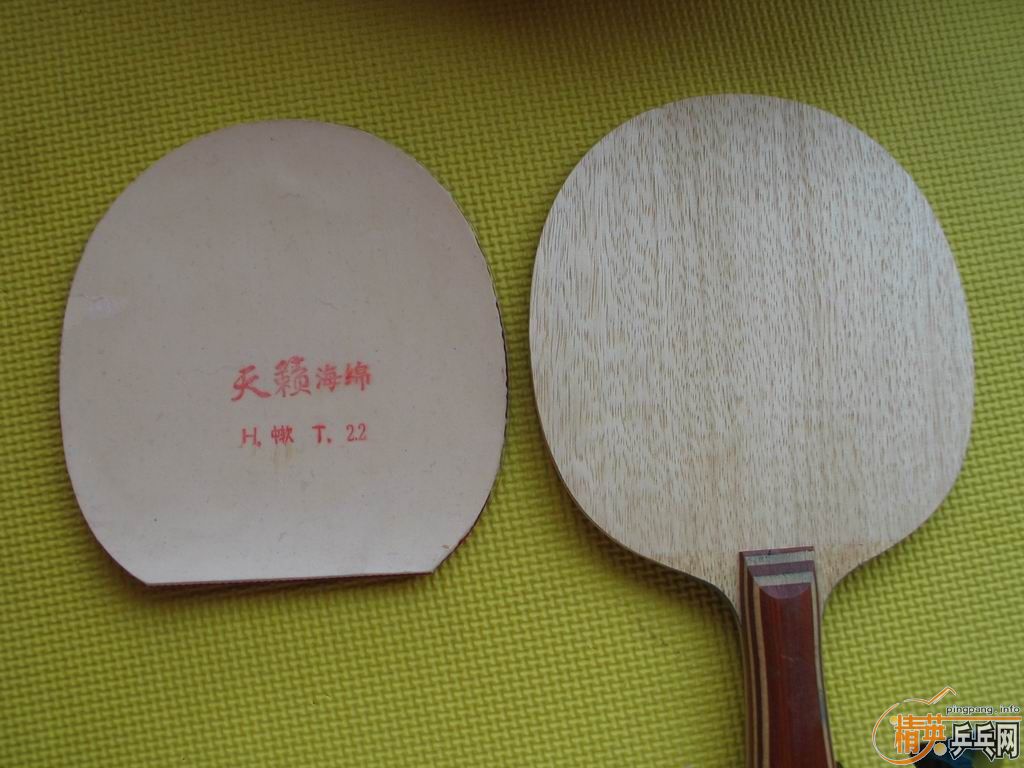 ���� ��� FL�� ����ֱ����ľ����