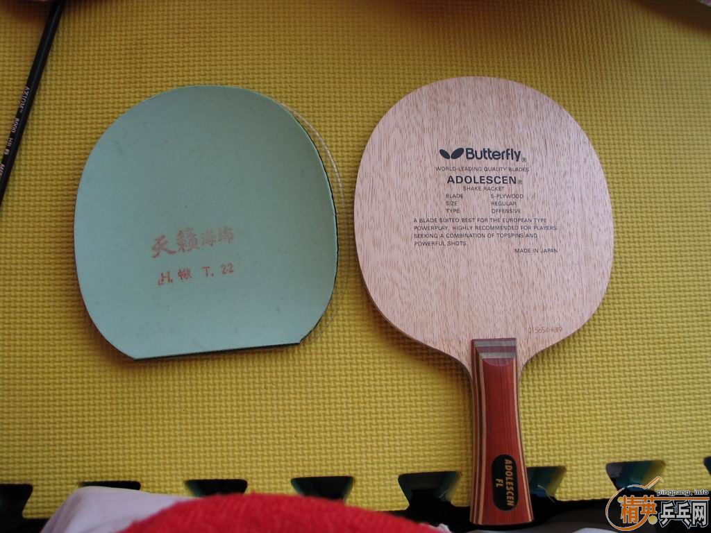 ���� ��� FL�� ����ֱ����ľ����