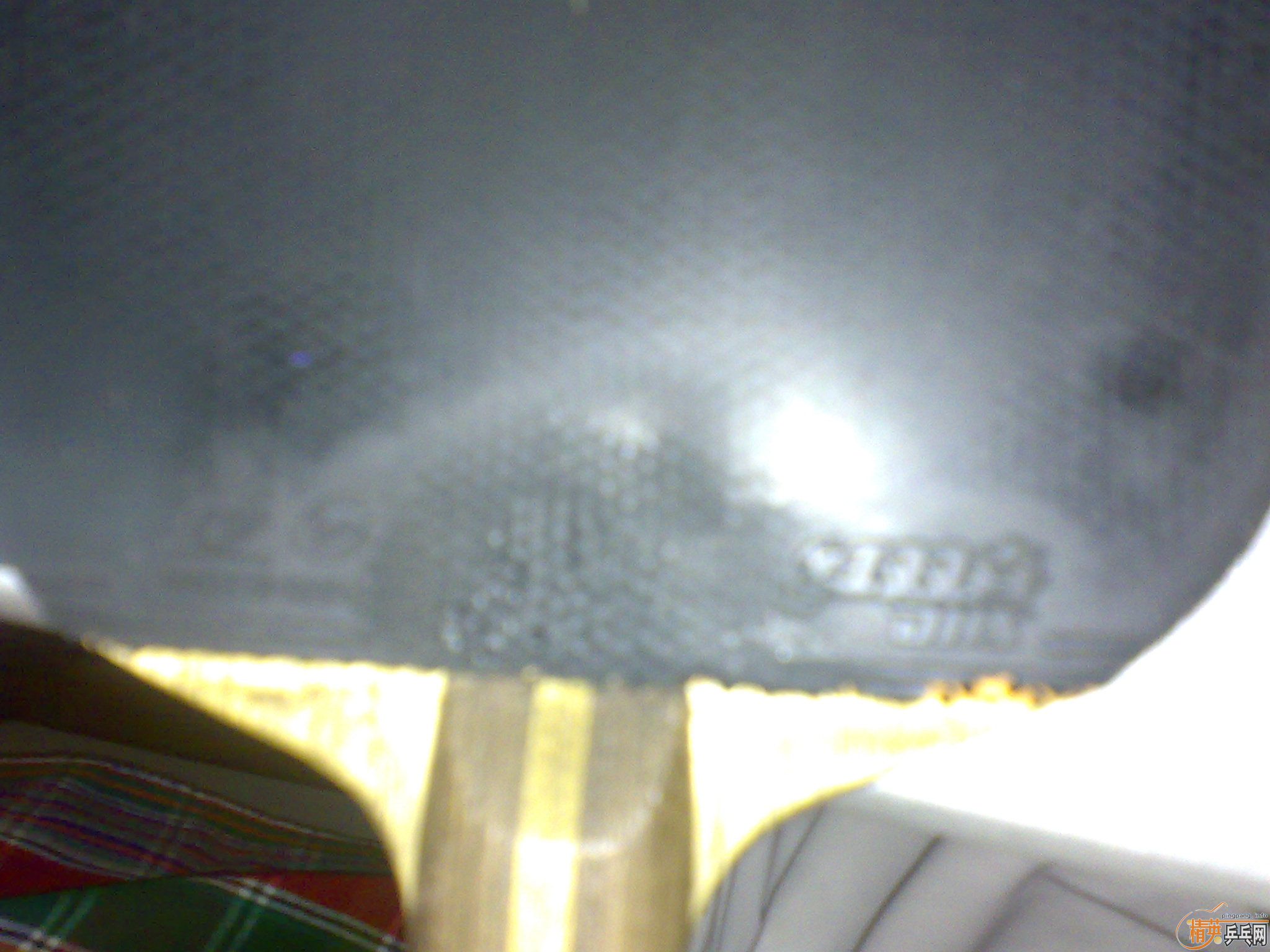 ����ľ����FL��