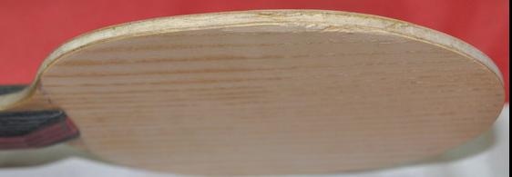 NITTAKUС����450����===============