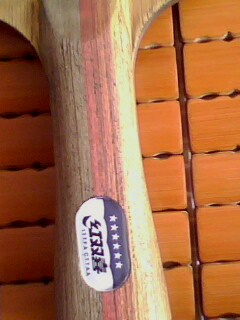 9.5�������Ͼ���2һ�飡����˦��������