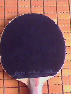 9.5�������Ͼ���2һ�飡����˦��������