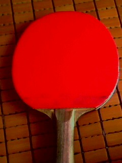 9.5�������Ͼ���2һ�飡����˦��������