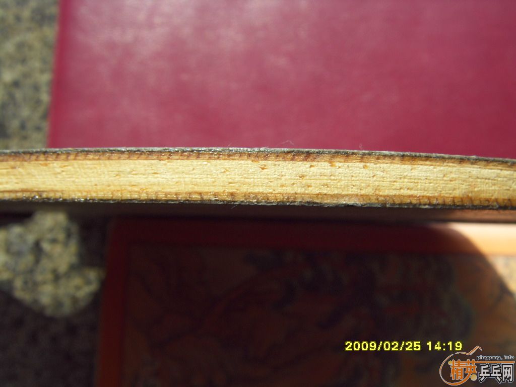 9.5�µľ���3�뻻�鴿OC