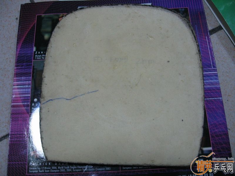 ��ֱ�׽���3�� ��������ɫ��� +���90���� ��430+OMIGA 2��