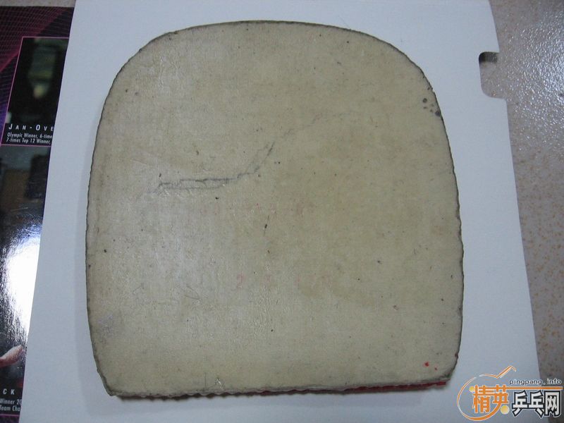 ��ֱ�׽���3�� ��������ɫ��� +���90���� ��430+OMIGA 2��