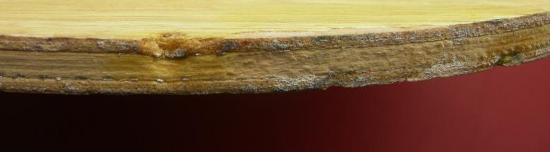 [����]  �ٳ����ѽ��� FL WRB  400����ͨ����������ͼ��