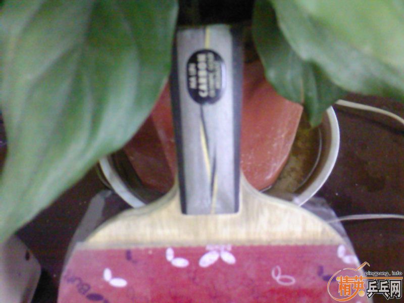 ��ض���Ĵ�˵�е�"˳��"��ֱ��,���˹�ע����ͼ.