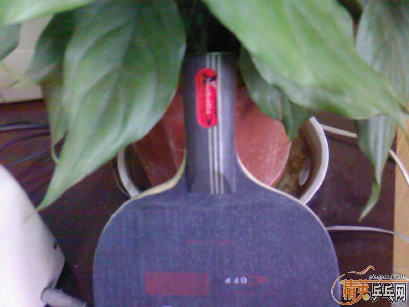 ��ض���Ĵ�˵�е�"˳��"��ֱ��,���˹�ע����ͼ.