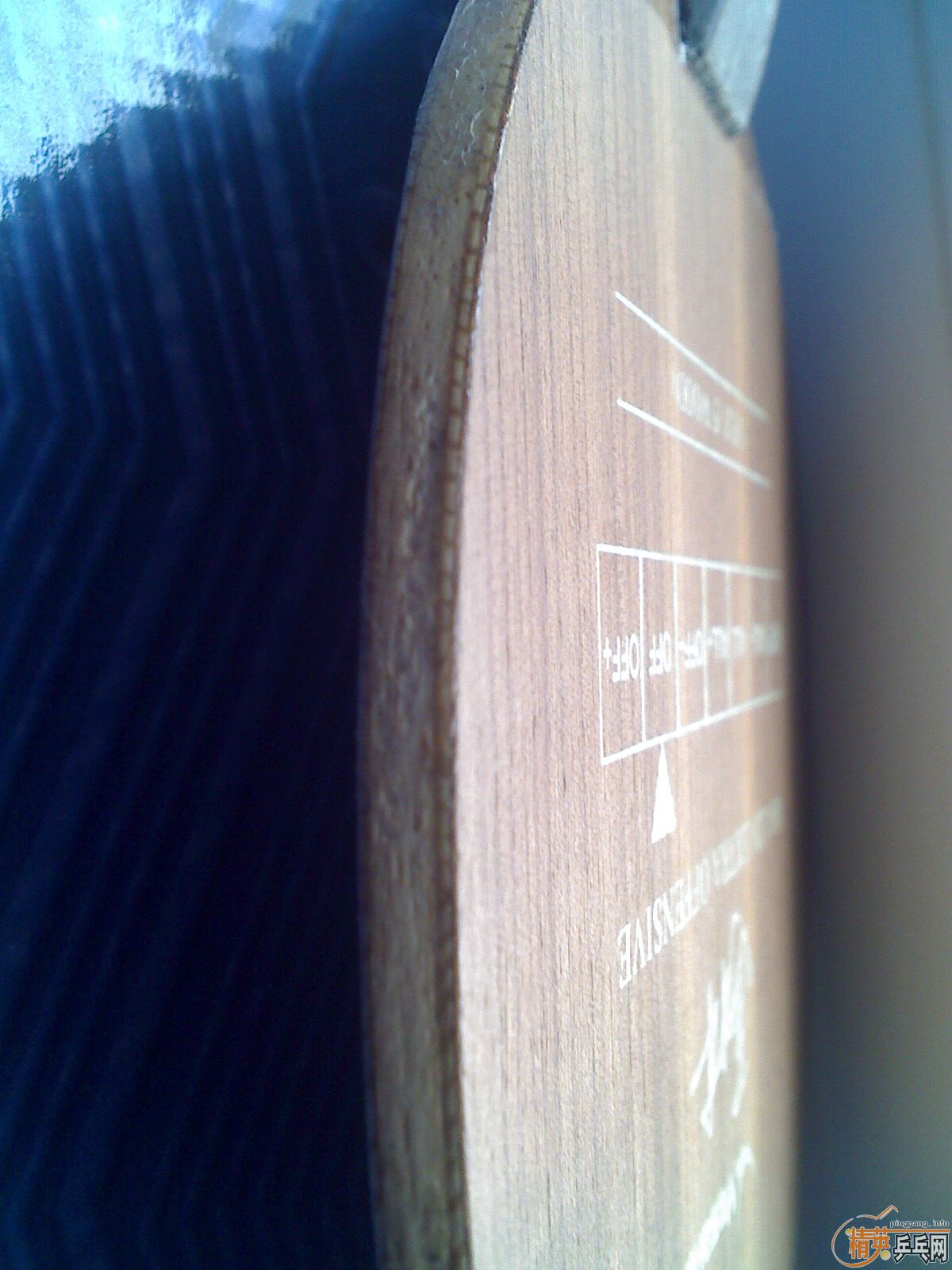 ����YEO,FL��!