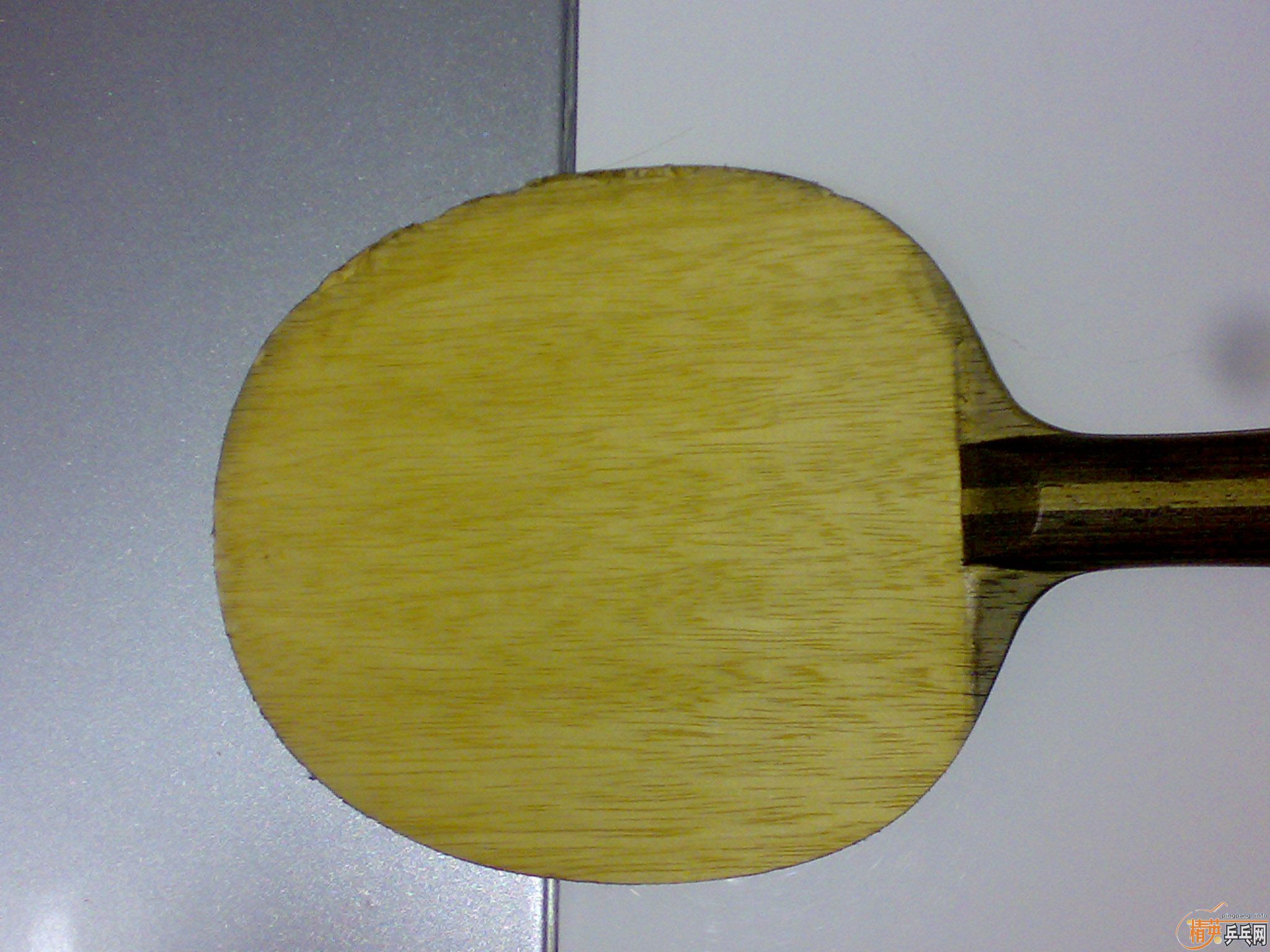 ����ľ����FL��