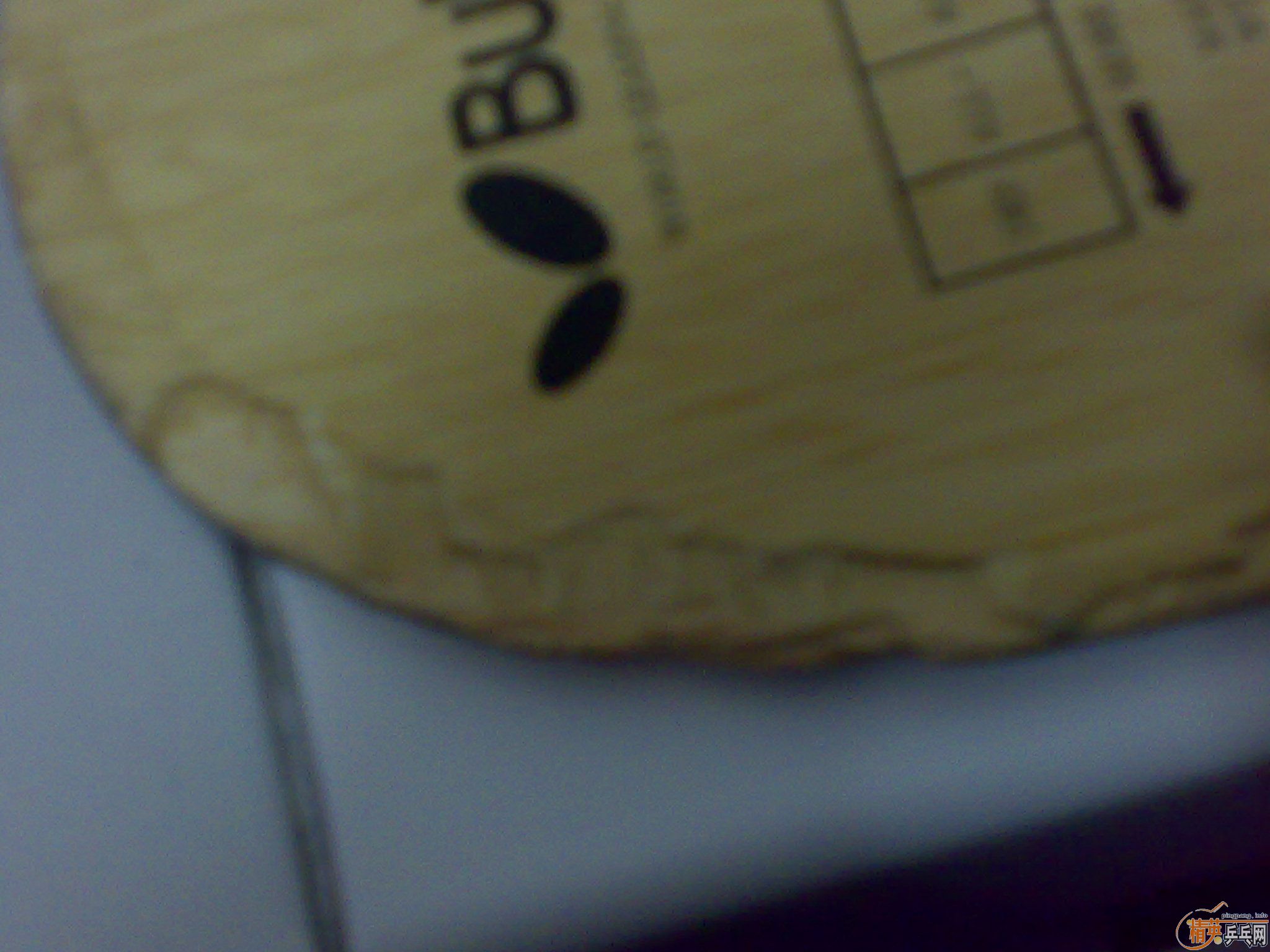 ����ľ����FL��