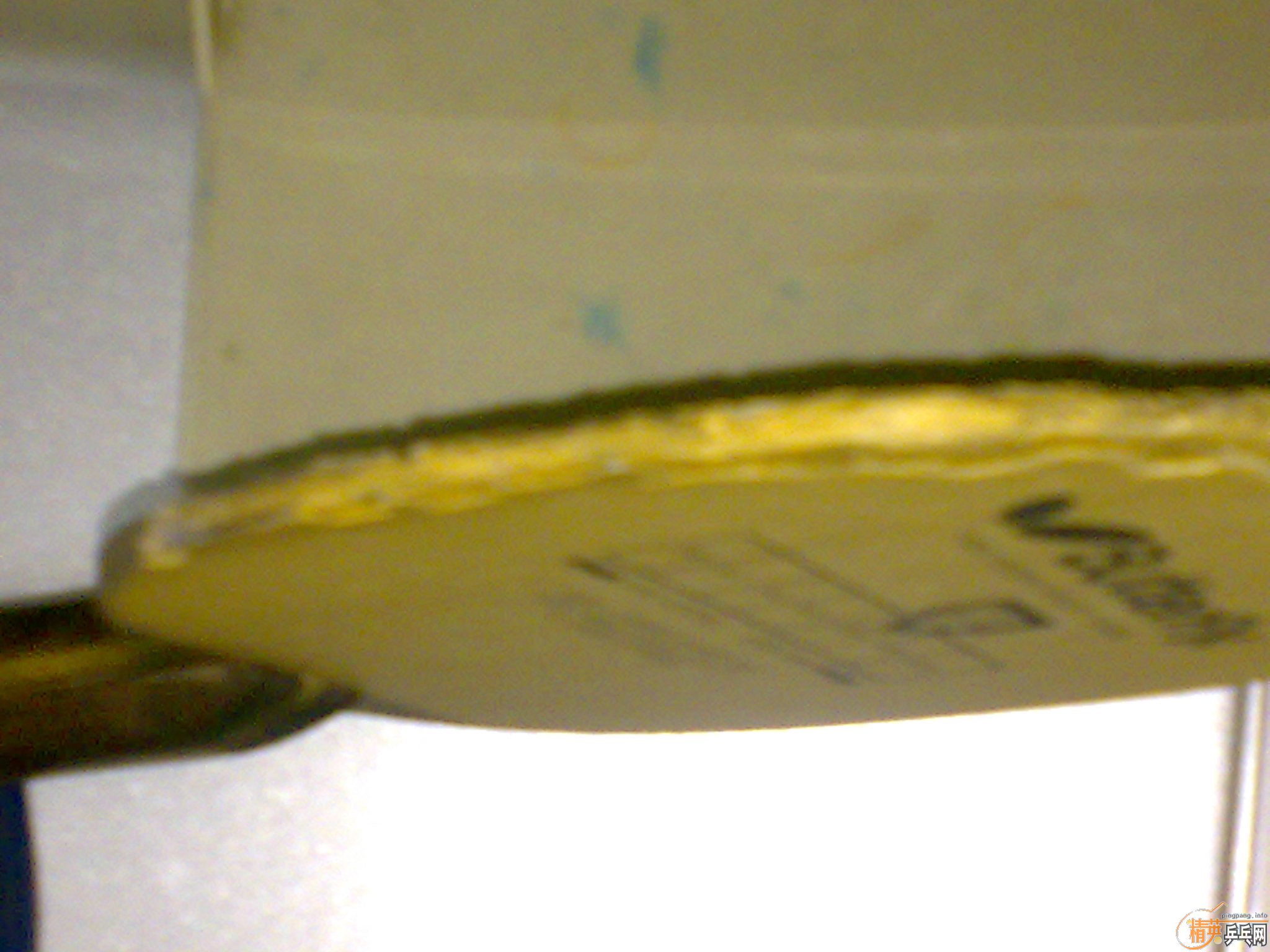 ����ľ����FL��