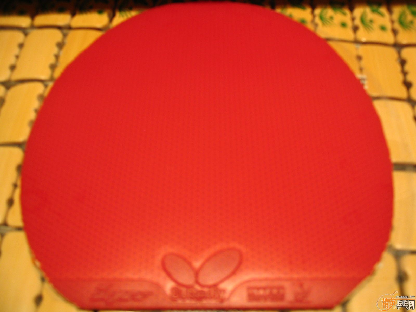 80���ʳ���ɫС������