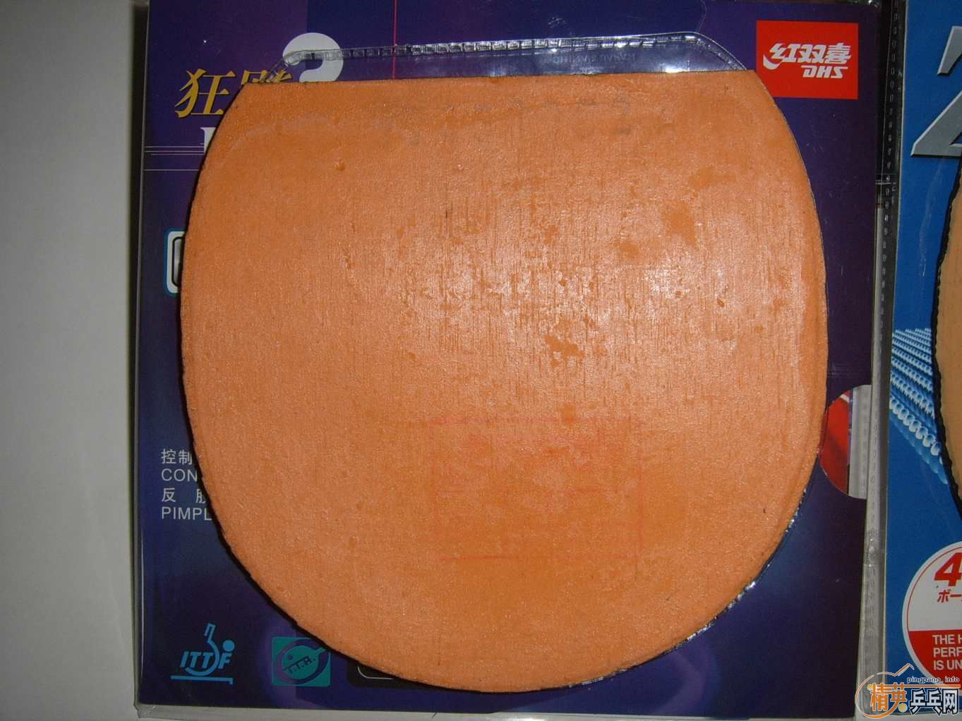 ��OC-CR��ʡ��3��palio,��ɫ����Ƭ