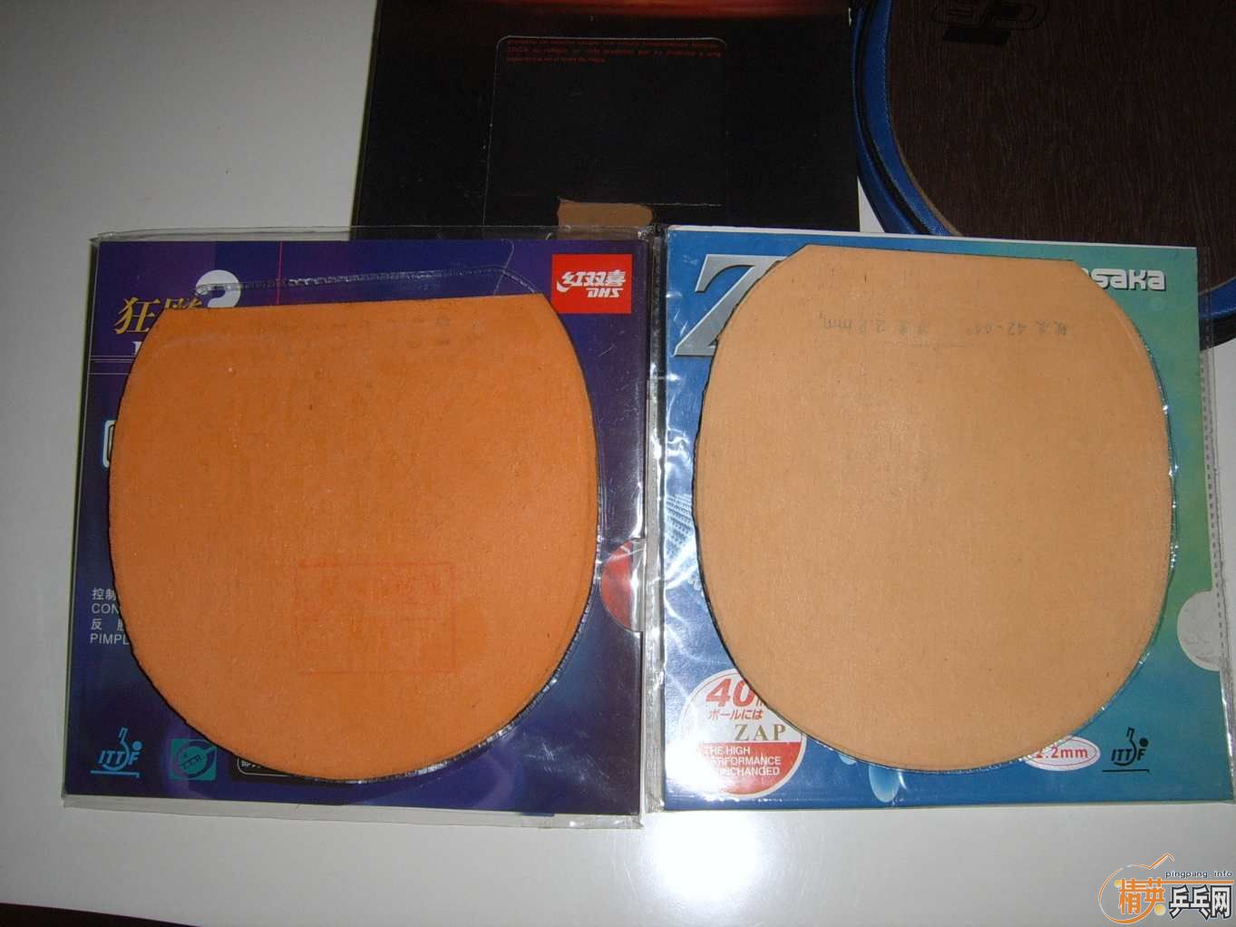 ��OC-CR��ʡ��3��palio,��ɫ����Ƭ