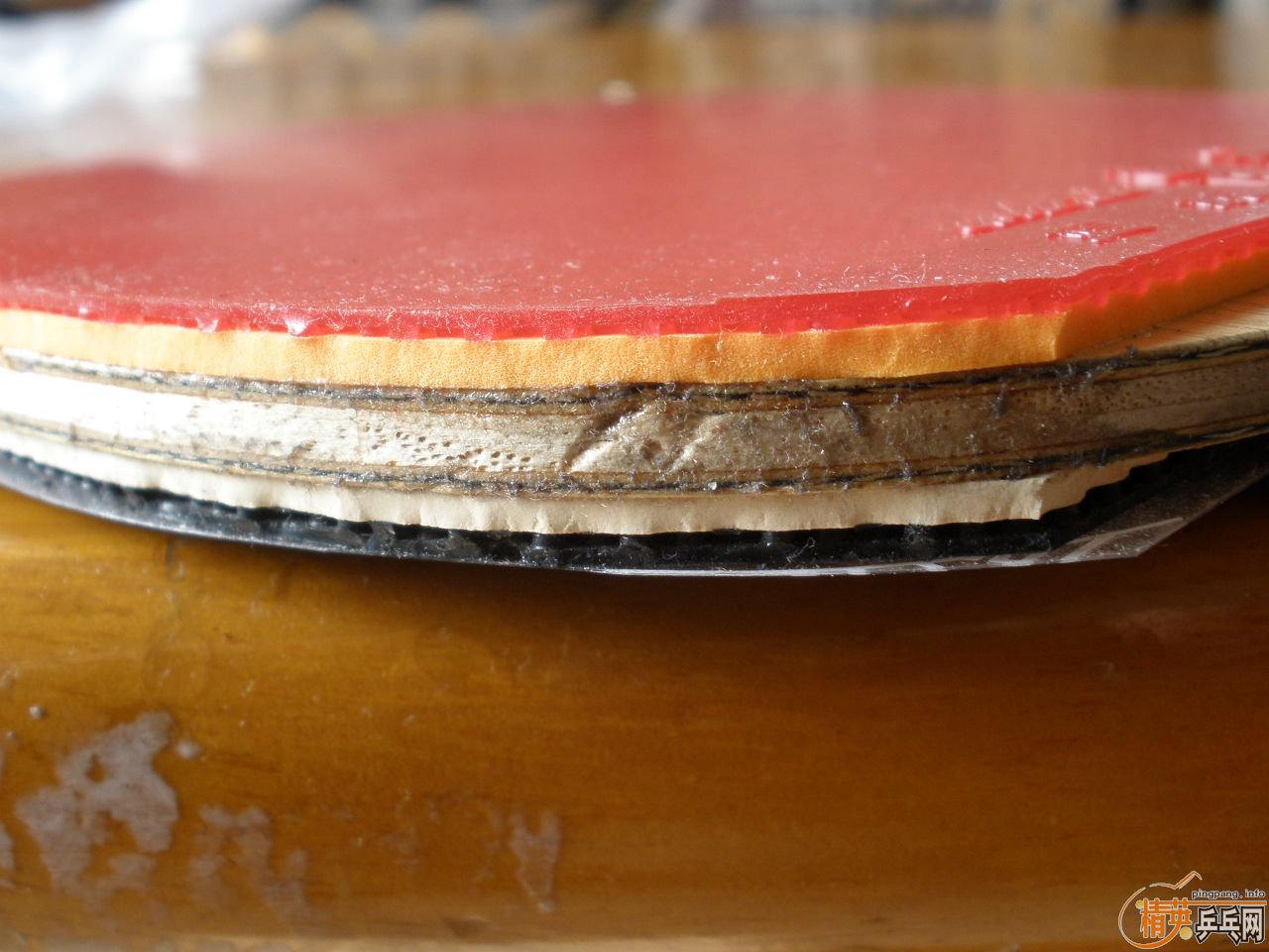 �ҵ�ˮ����������