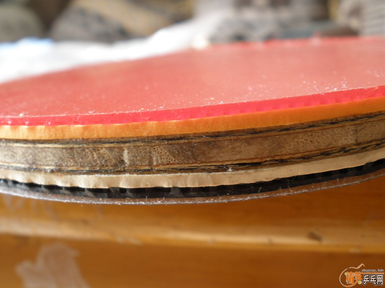 �ҵ�ˮ����������