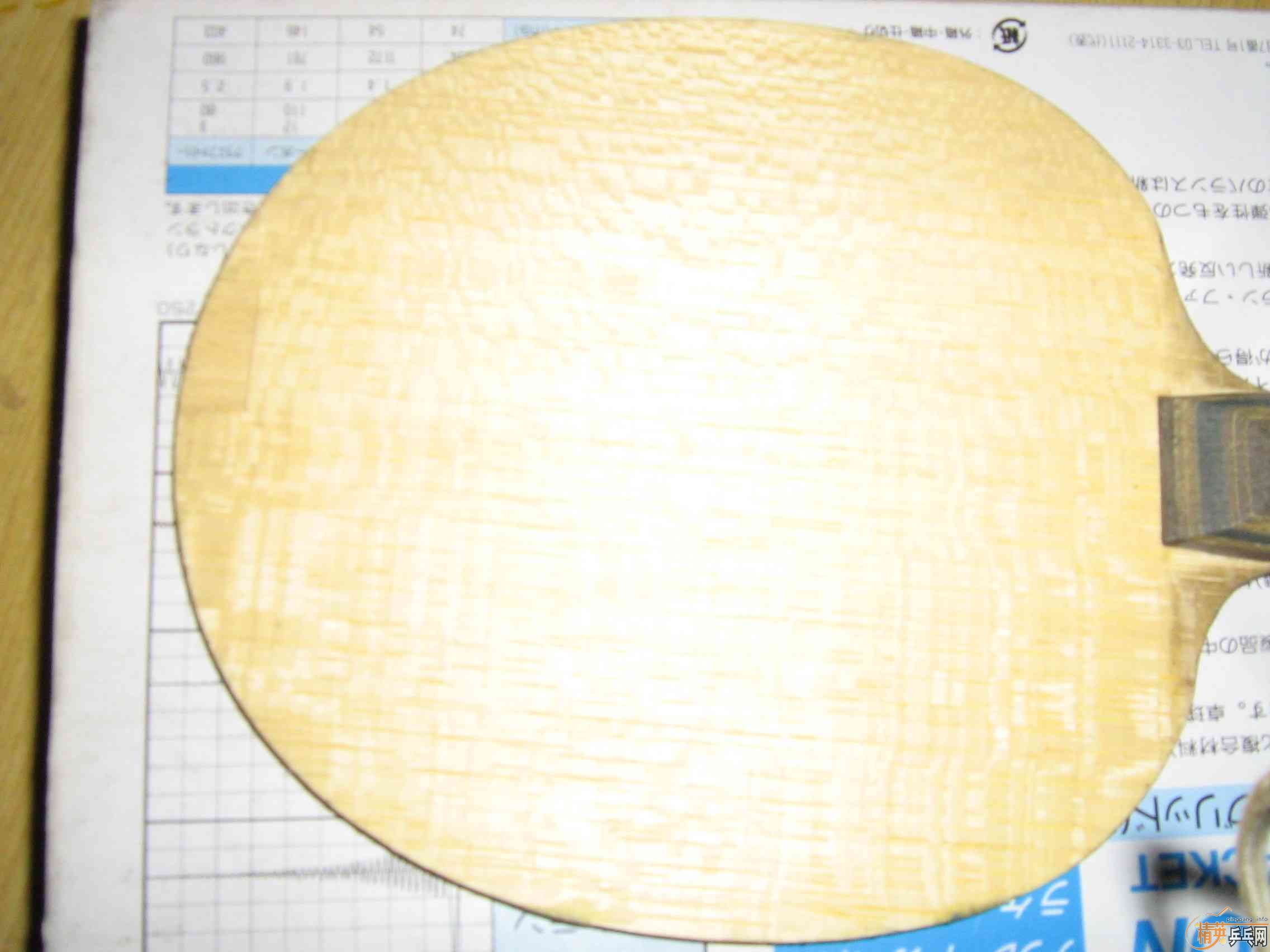 ���˳����� VIS  P700 ���µ����ƣ�����֧������