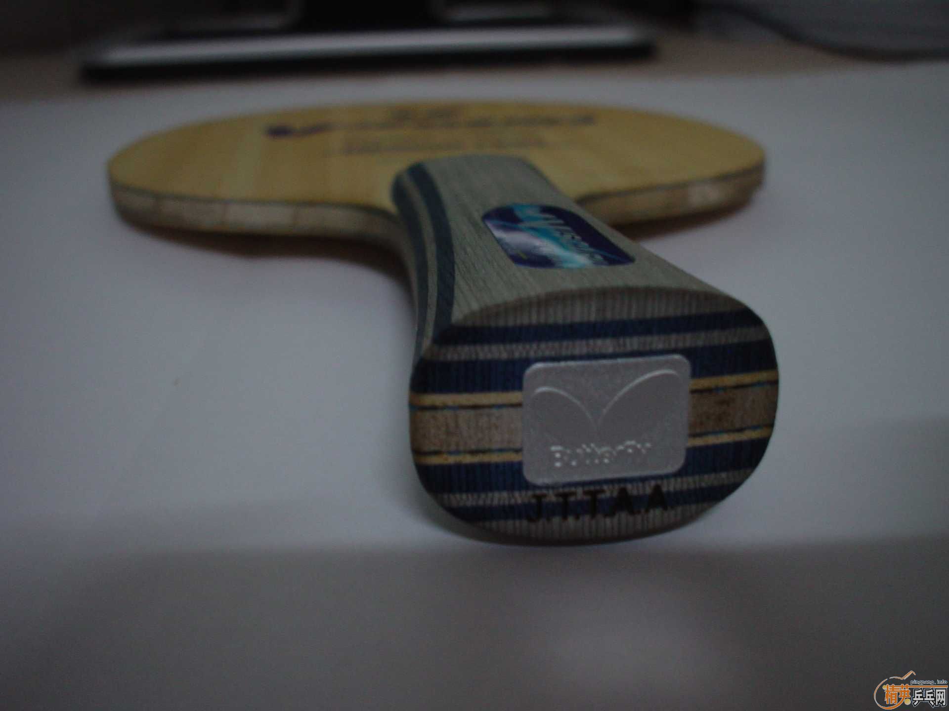 ������VISCARIA LIGHT��ͦ�ε�ħ��̼�ʹ�1000Ԫ