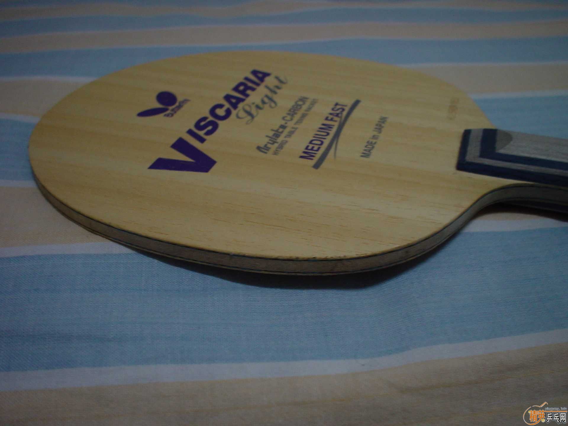 ������VISCARIA LIGHT��ͦ�ε�ħ��̼�ʹ�1000Ԫ