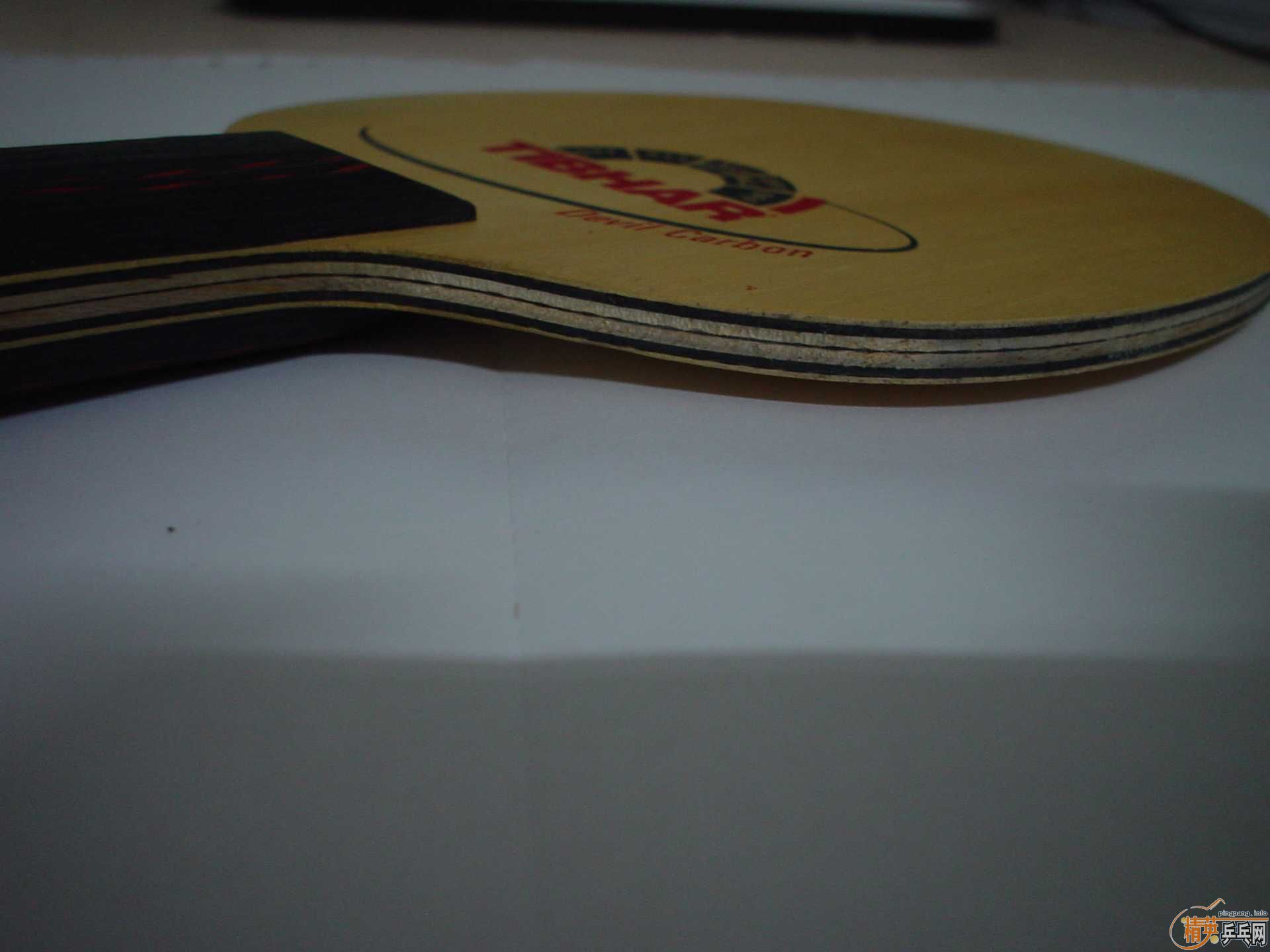 ������VISCARIA LIGHT��ͦ�ε�ħ��̼�ʹ�1000Ԫ