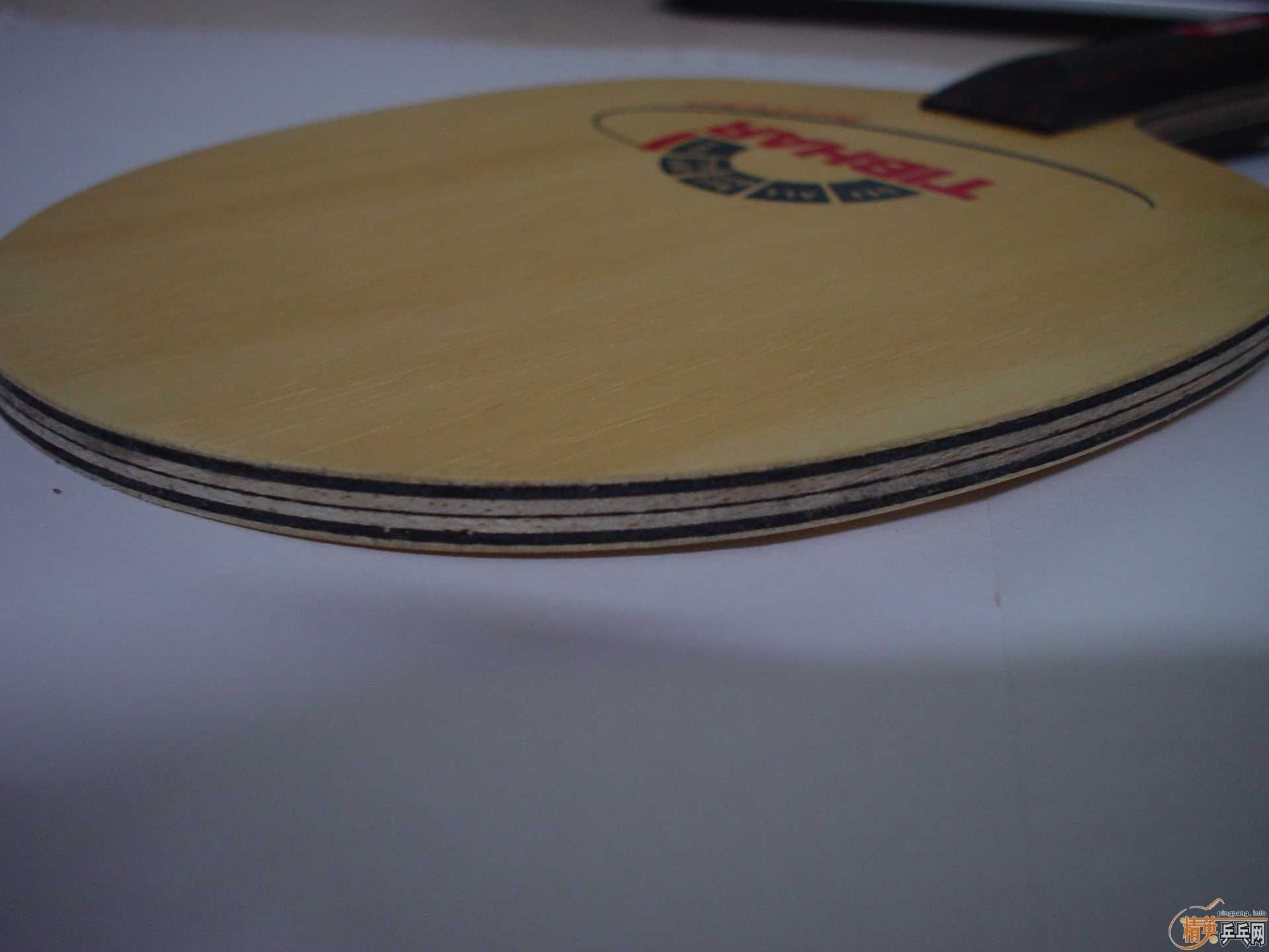 ������VISCARIA LIGHT��ͦ�ε�ħ��̼�ʹ�1000Ԫ