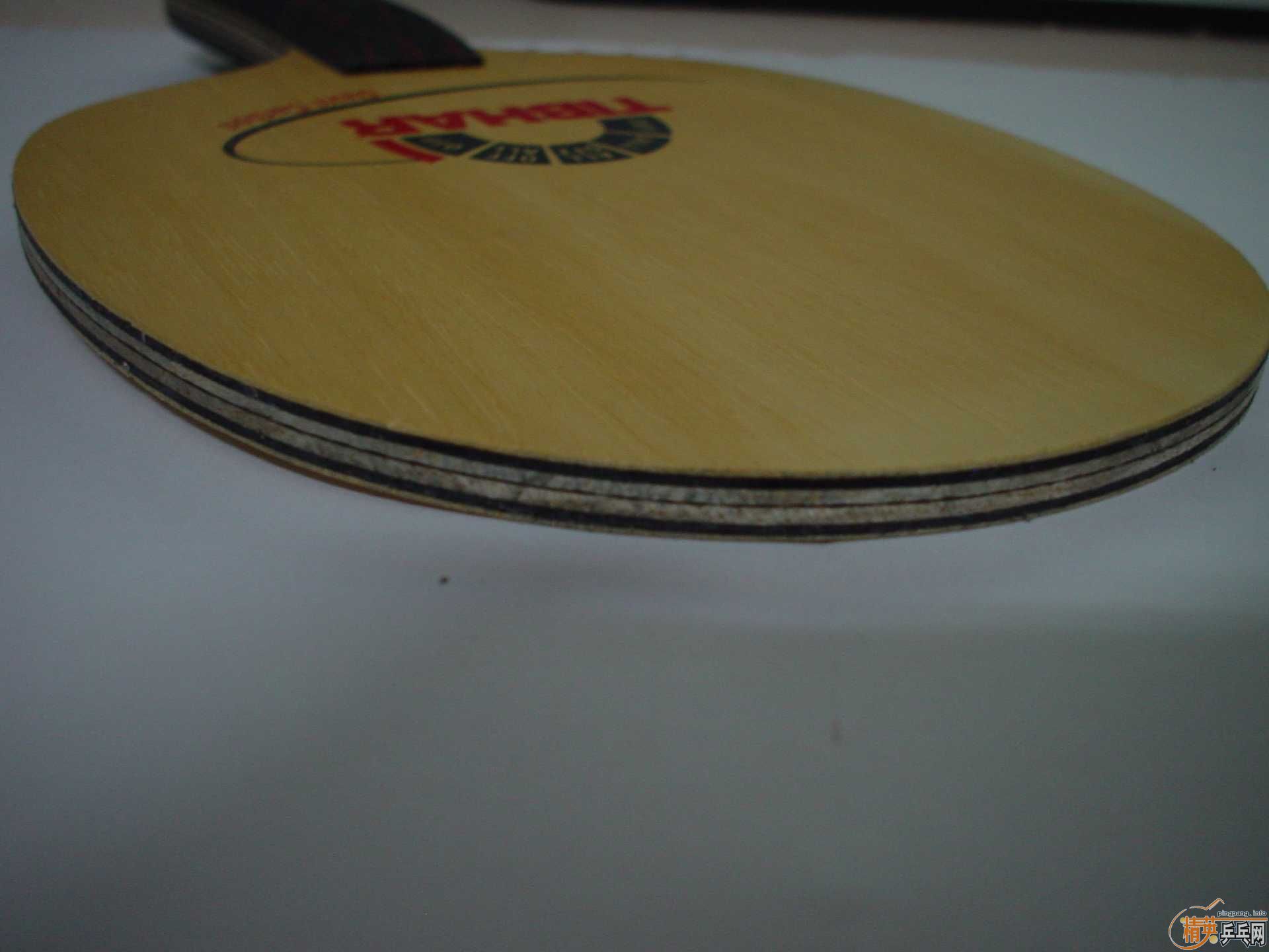 ������VISCARIA LIGHT��ͦ�ε�ħ��̼�ʹ�1000Ԫ