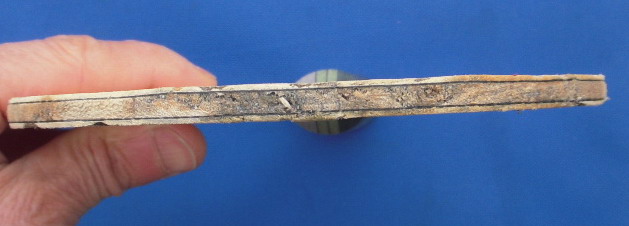 ���ڡ��������У�ϲ���Ľ���������