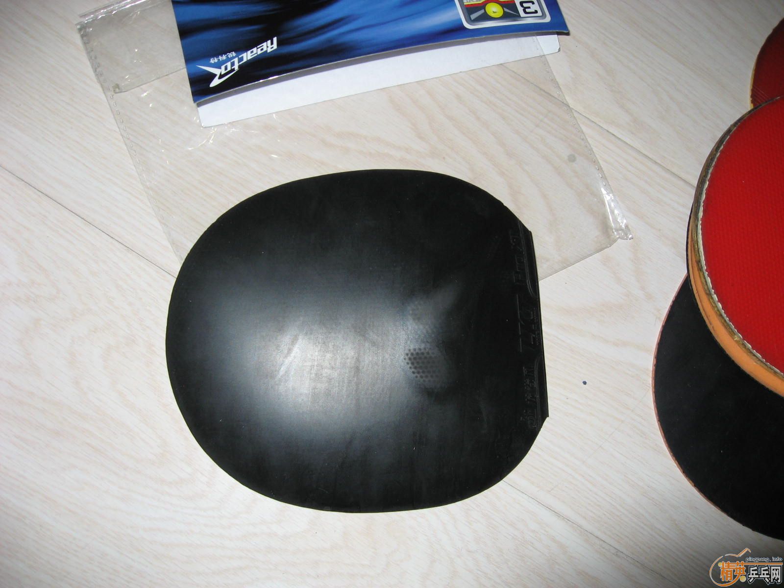 ���˵�û�е����Ľ�Ƥ