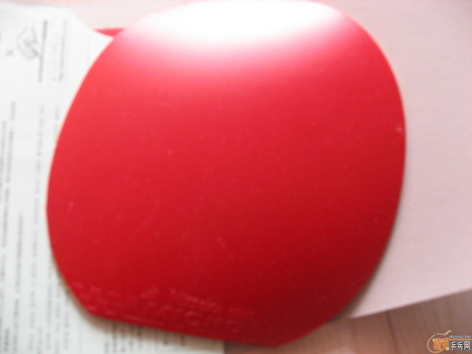 ���˵�û�е����Ľ�Ƥ