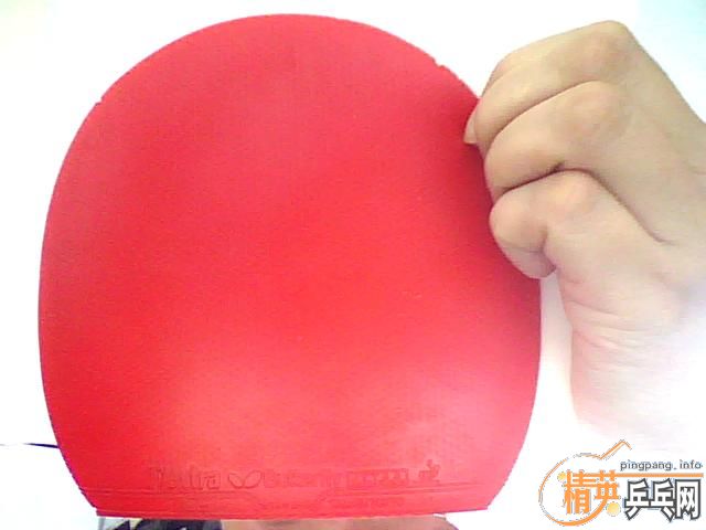 ���ֺ���butterfly Flextra 05210�����׽�   9����