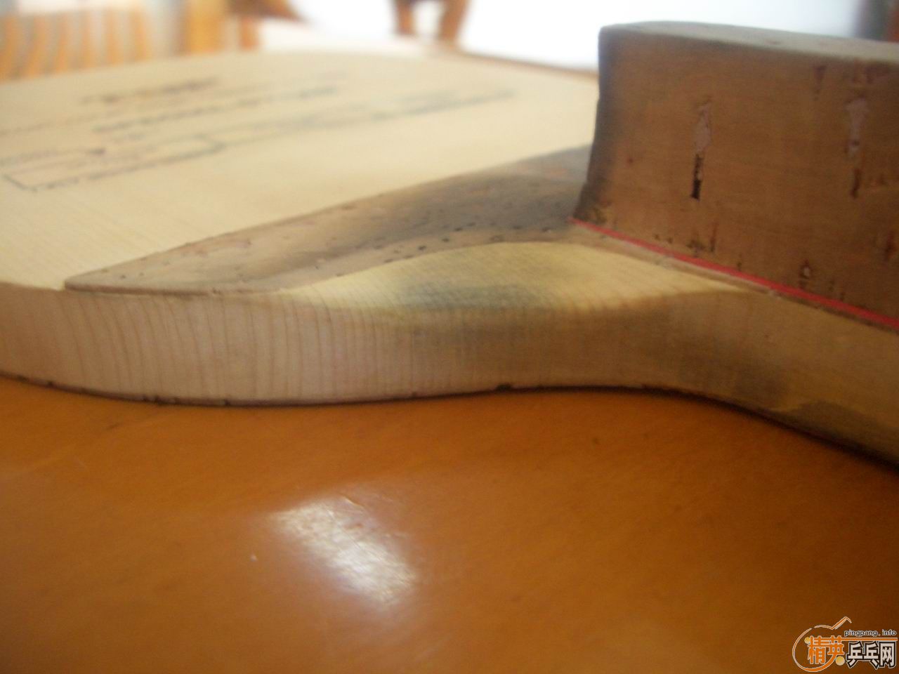 ��������,Ŭ�˸���ֱ�˳�TSP DYNAM special