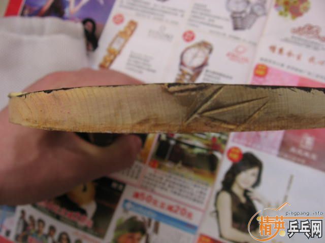 ��ֱ������+��ɫ������SP 480����