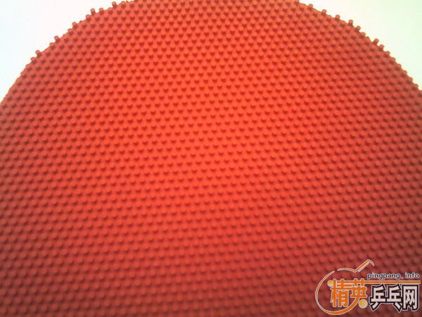 TSP Bamboo Curl P-1-OX(������)=170Ԫ(�����)