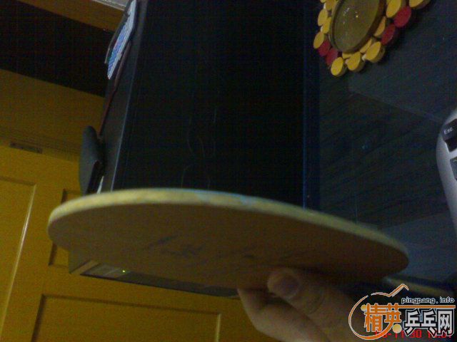 ��ŷ��ysc 280Ԫ������������yeo