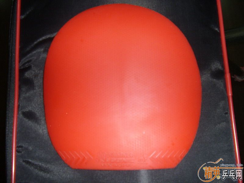 ��ɫ�����JO.WALDNER�߶����ڶ��׽������