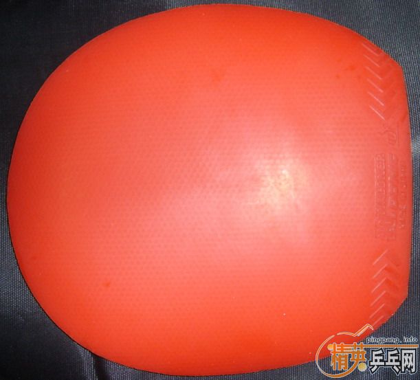 ��ɫ�����JO.WALDNER�߶����ڶ��׽������