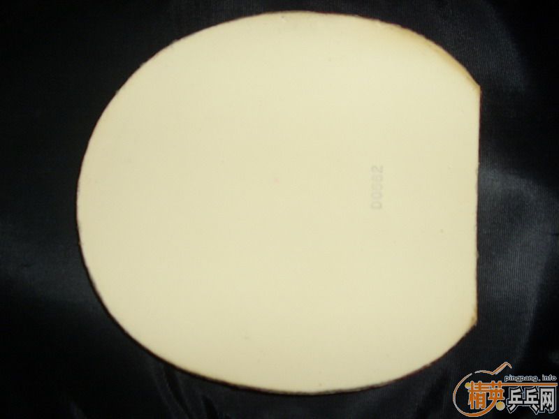 ��ɫ�����JO.WALDNER�߶����ڶ��׽������