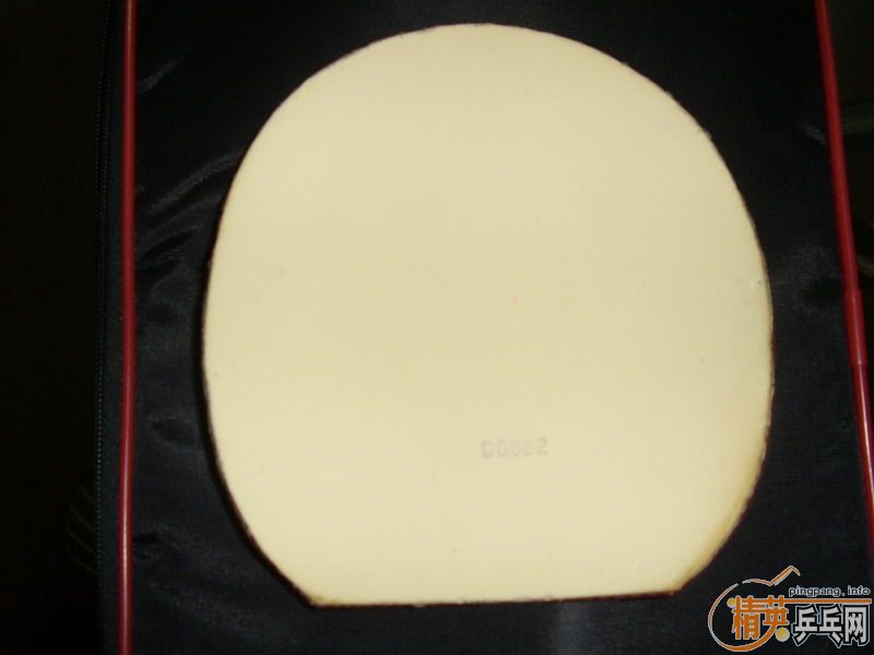 ��ɫ�����JO.WALDNER�߶����ڶ��׽������