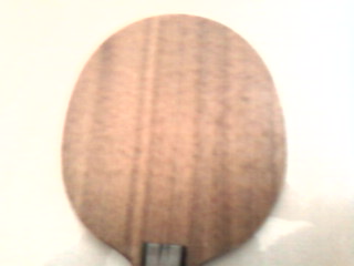 �������������˺��YEO