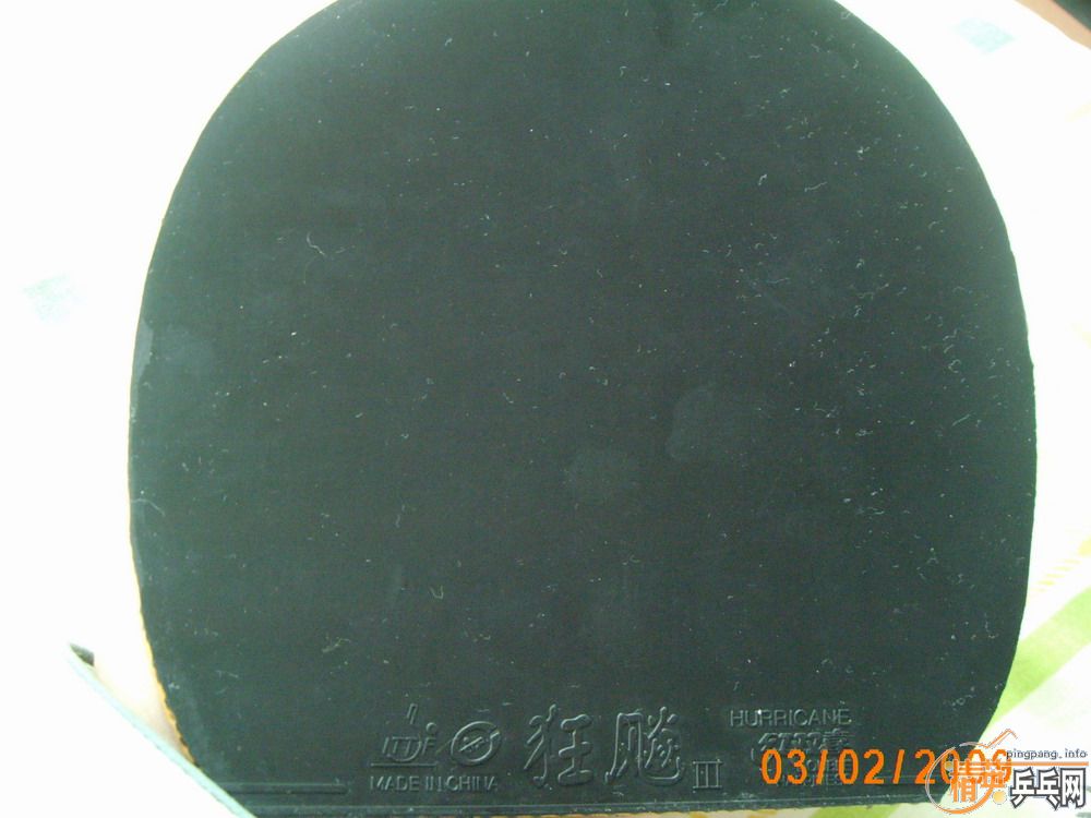 ���ҵ�������������YEO��������