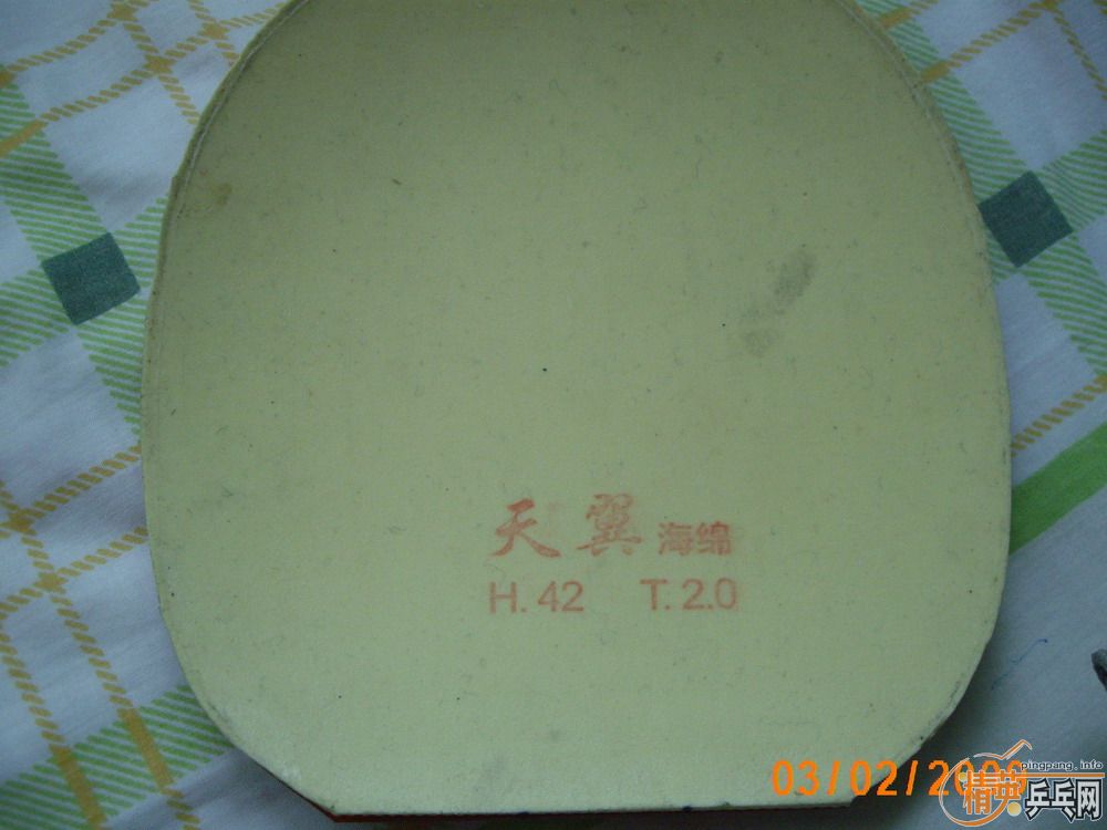 ���ҵ�������������YEO��������