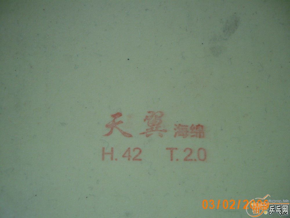 ���ҵ�������������YEO��������