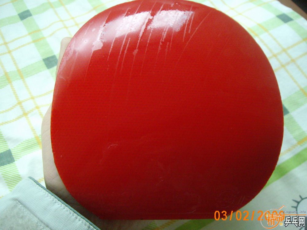 ���ҵ�������������YEO��������